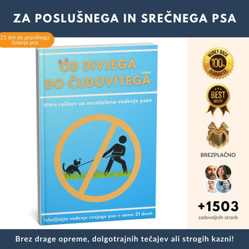 Najbolj prodajan priročnik za izboljšanje poslušnosti vašega psa v samo 21 dneh + 4 BREZPLAČNI BONUSI