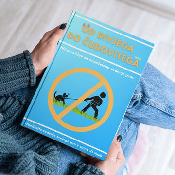 Popoln priročnik za nove pasje lastnike: vzgojite dobro vzgojenega psa od prvega dne naprej